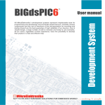 BIGdsPIC6 Development System User Manual