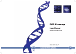 PCR Clean-up