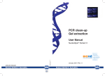 PCR clean-up Gel extraction User Manual