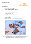 Vaponic vaporizer user manual