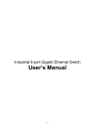 User`s Manual - CONRAD Produktinfo.