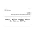 Writing Catalogue and Image Servers for GAIA and CURSA