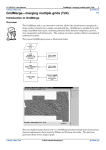 GridMerge—merging - Intrepid Geophysics