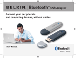 Bluetooth™ USB Adapter