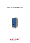 Industrial Wireless Access Point DM500