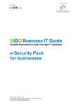 Business IT Guide - e