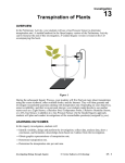 Transpiration of Plants - Vernier Software & Technology