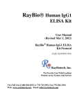 RayBio® Human IgG1 ELISA Kit