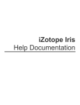 iZotope Iris Help Documentation | Virtual Instrument