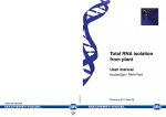 Total RNA isolation from plant