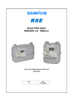 Smart GAS meter RSE/2001 LA – RSE/2,4