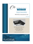 Cell Migration Assay *