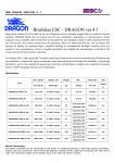 Brushless ESC - DRAGON ver.4.1