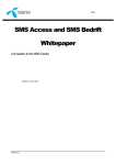 SMS Access and SMS Bedrift Whitepaper