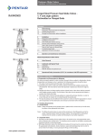 RAIMONDI - Pentair Valves & Controls