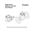 RHPS Series BD(H)20,25 (-DP) User Manual (MS-CRD