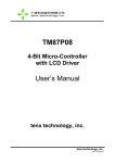 TM87P08 User`s Manual