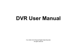DVR User Manual