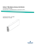 NetSure™ BBU (Battery Backup Unit) Module