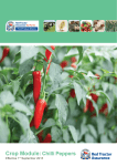 Crop Module: Chilli Peppers