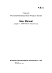 WBP-02A-User manual