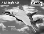 F-15 Eagle ARF - E