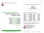 Carboxyfluorescein FLICA Apoptosis Detection Kit Caspase Assay