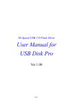 User Manual for USB Disk Pro