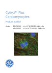 Cytiva™ Plus Cardiomyocytes - GE Healthcare Life Sciences