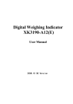 Digital Weighing Indicator XK3190