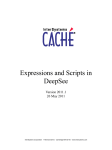 Expressions and Scripts in DeepSee-1