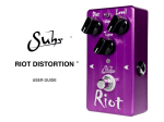 RIOT DISTORTION