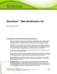 BisulFlash ™ DNA Modification Kit
