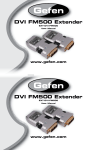 DVI FM500 Extender