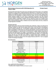 Plasma-Serum Parvovirus B19 PCR Detection Kit