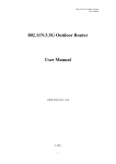 802.11N/3.5G Outdoor Router User Manual