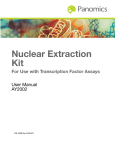 Nuclear Extraction Kit