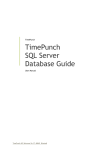 TimePunch SQL Server Database Guide
