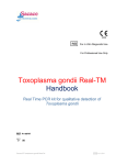 Toxoplasma gondii Real TM CE