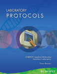 Laboratory Protocols. CIMMYT Applied Molecular