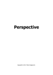 Perspective User Manual