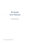 BI Studio User Manual
