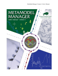 MetaModel Manager Manual