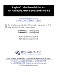 RayBio Label-based (L-Series) Rat Antibody Array L
