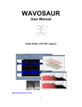 Wavosaur Manual v2.6