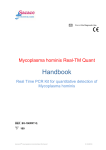 Mycoplasma hominis Quant ENG PCR ver 21032013 - bio