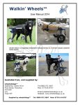 Walkin` Wheels™ - Wheelchairs for Dogs walking aids