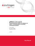 pPICZα A, B, and C - Thermo Fisher Scientific
