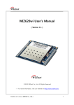 WIZ620wi User`s Manual