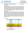 West Nile Virus RT-PCR Detection Kit - Protocol